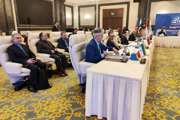 ایران خواستار تولید مشترک دارو و واکسن میان کشورهای عضو دی۸ شد