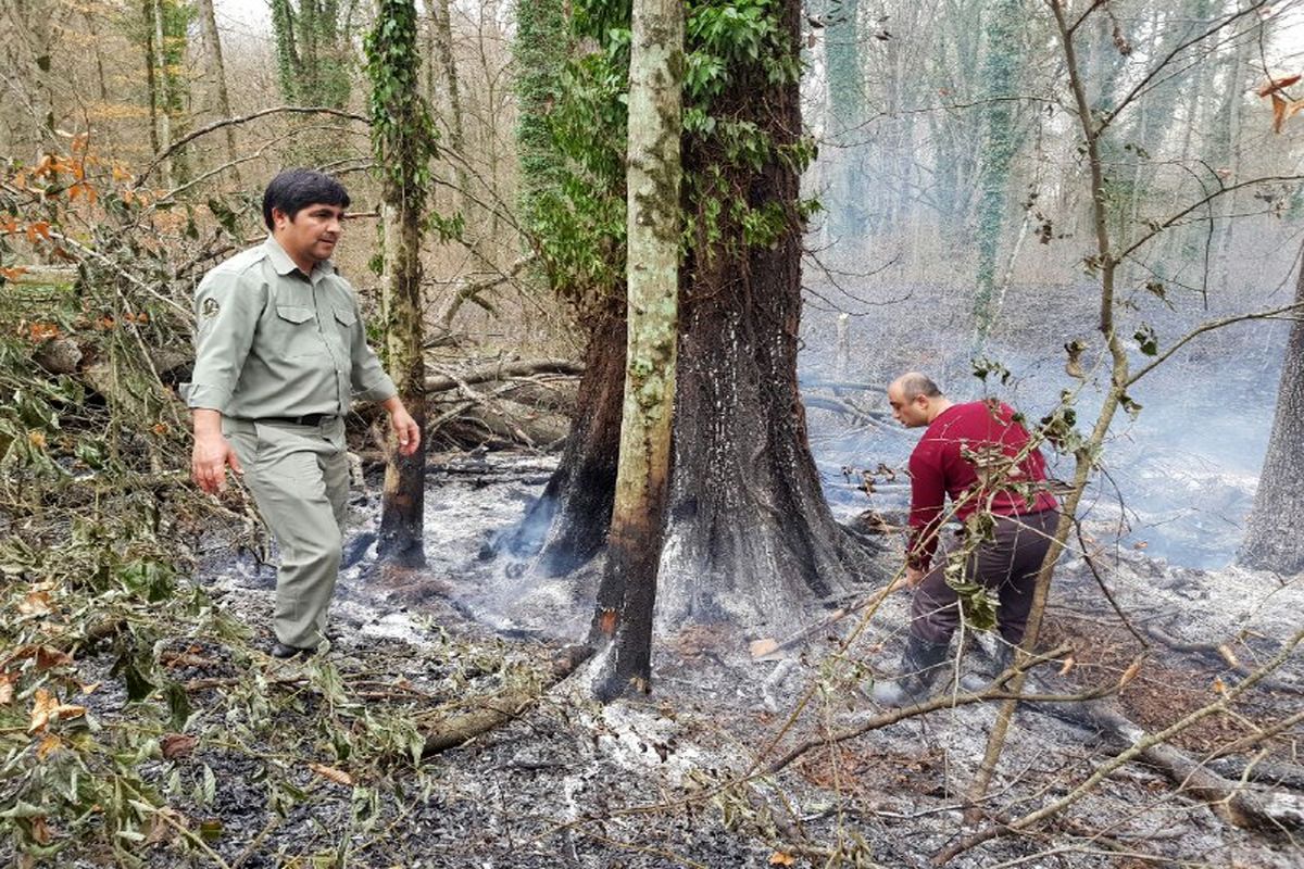 توضیح رییس مرکز کنترل حریق وزارت دفاع درباره آتش سوزی جنگل‌های گلستان