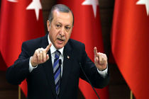 اردوغان افزایش مبادلات تجاری با کشورهای حوزه خلیج‌فارس را خواستار شد