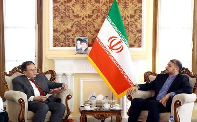 ایران و ژاپن برای گسترش مناسبات فیمابین از ظرفیت‌های فراوانی برخوردارند
