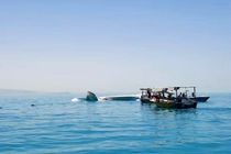 سقوط یک فروند هواپیمای آموزشی در آب‌های جزیره قشم/ سرنشینان نجات یافتند