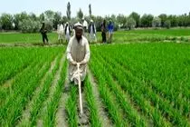  همکاری با افغانستان صرفاً یک گزینه نیست