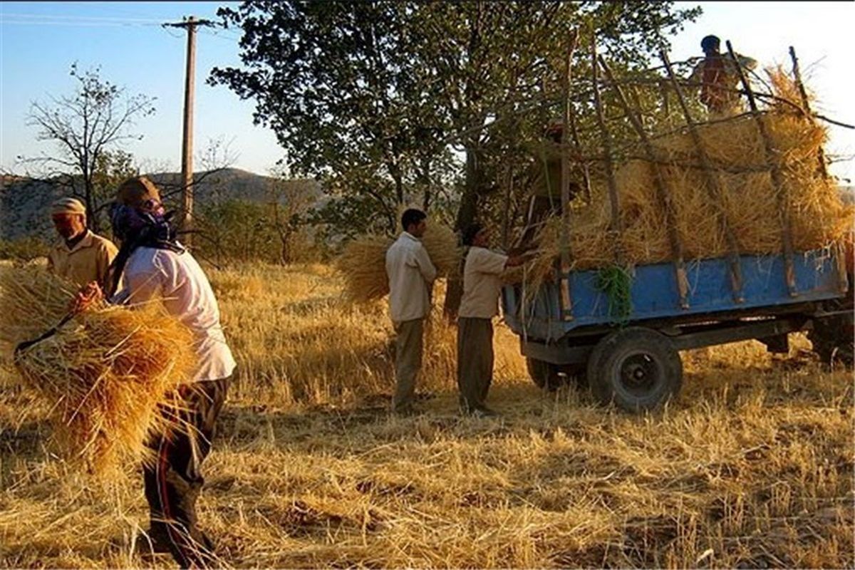 بخشودگی سود و وجه التزام 160 هزار خانوار روستایی