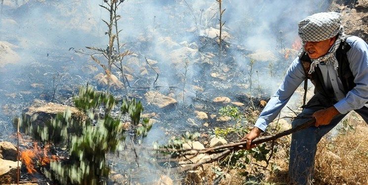 آتش‌سوزی در «جنگل فندقلو» با تلاش محیط‌ بانان مهار شد