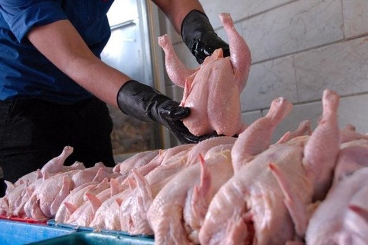 توزیع مرغ منجمد با قیمت 5700 در کشور/ پرتقال خارجی 3900 تومان در تره‌بار