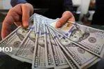 جدیدترین قیمت ارزها در بازار آزاد امروز جمعه ۲۰ تیر ۱۴۰۴