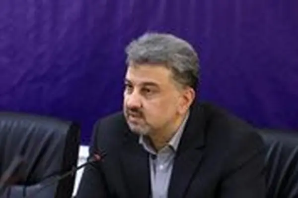 صرفه‌جویی مشترکان در مصرف گاز و برق برای گذر از هفته سرد جاری ضروری است