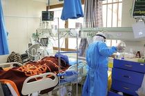 بستری شدن 81 بیمار جدید مبتلا به ویروس کرونا در اصفهان