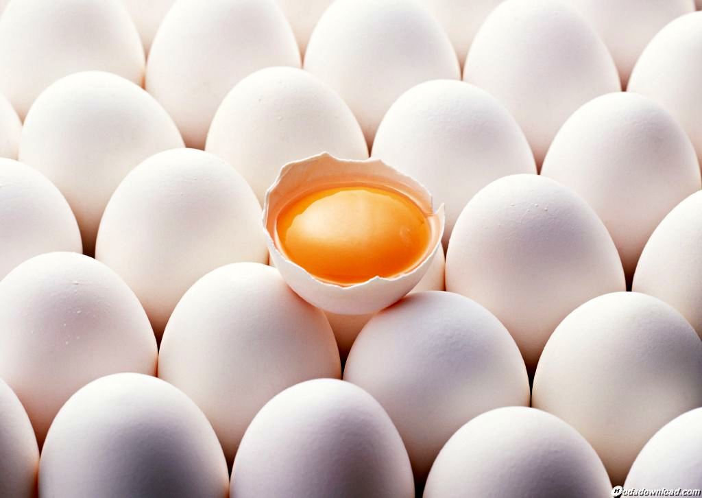 آلودگی های زیست محیطی به کمک پروتئین های پوسته تخم مرغ سنجش می شود