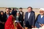 وزیر راه و شهرسازی وارد فرودگاه شهدای بوشهر شد
