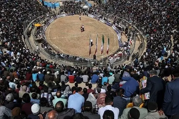 قهرمانان کشتی با چوخه اسفراین معرفی شدند