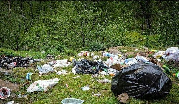 جنگل‌های مازندران ظرفیت این همه زباله را ندارد/ مردم از رهاسازی زباله در جنگل پرهیز کنند