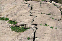 حرکت گسل‌ها با منشا طبیعت یا دخالت انسان سبب وقوع زلزله 