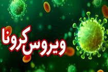 305 ابتلای جدید به ویروس کرونا در اصفهان / فوت 43 بیمار