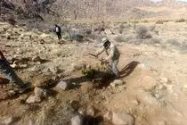 آزادسازی ۲۰۰۰ مترمربع از اراضی ملی در استهبان