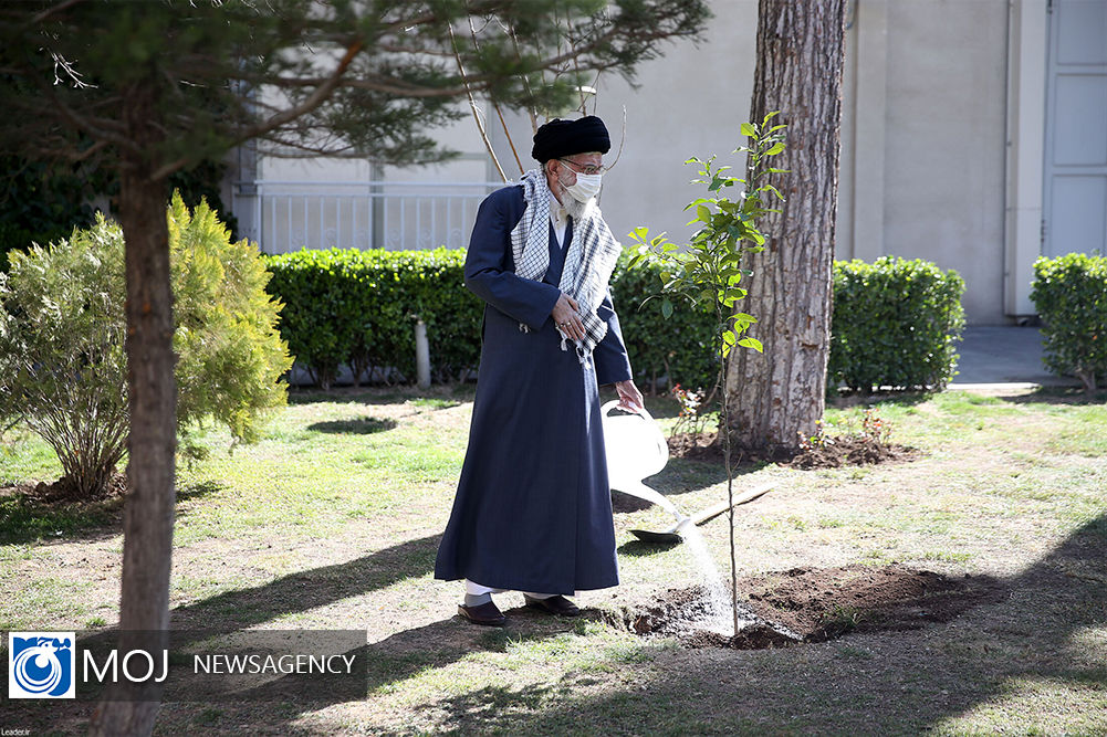 همزمان با کاشت درخت توسط رهبر انقلاب، نهال‌کاری گروه‌های جهادی سراسر کشور آغاز می‌شود