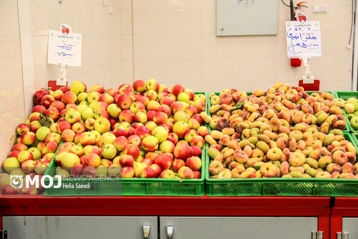 میادین میوه و تره بار