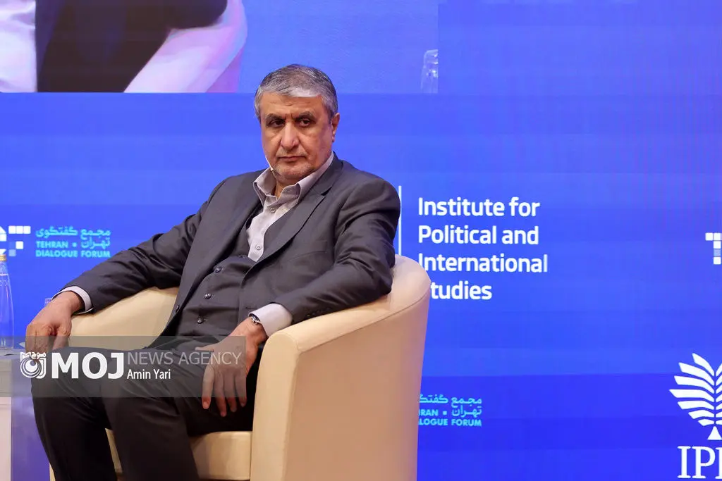 هشتاد درصد نظارت‌های آژانس بین‌المللی انرژی اتمی در مورد تاسیسات هسته‌ای ایران اعمال می‌شود 