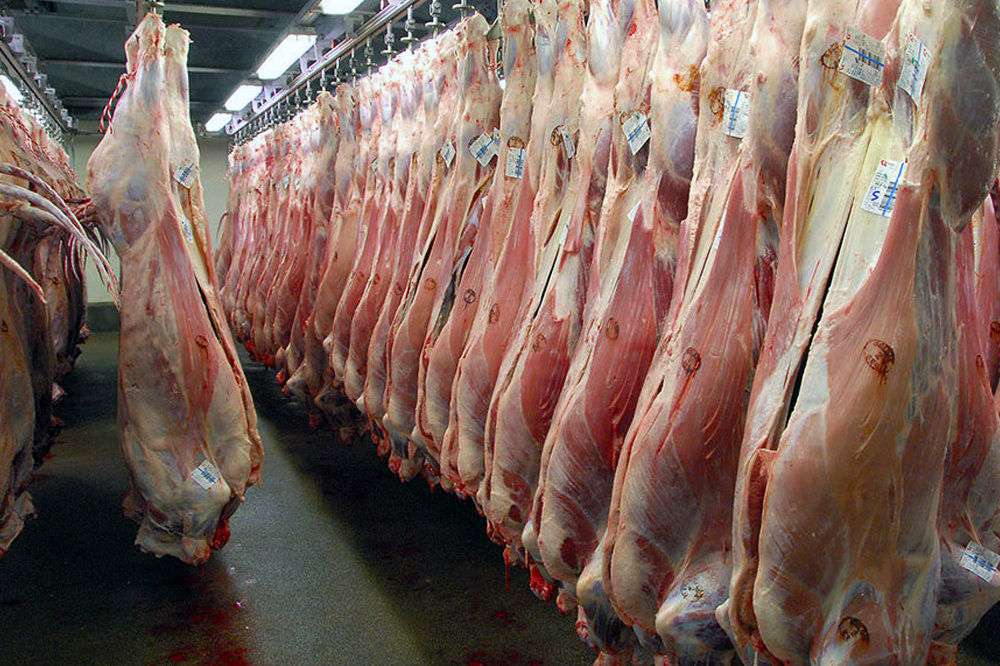 کاهش هزار تومانی نرخ گوشت گوسفندی در بازار