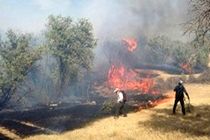 وقوع آتش‌سوزی در منطقه «جهان‌نما» کردکوی/ 8 هکتار مرتع طعمه حریق شد