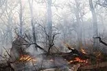 مراتع جنگلی روستای «نمنق» جلفا طعمه حریق شد