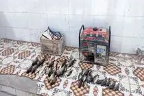 متخلف صید ماهی با استفاده از الکتروشوکر در شهرستان حمیدیه دستگیر شد