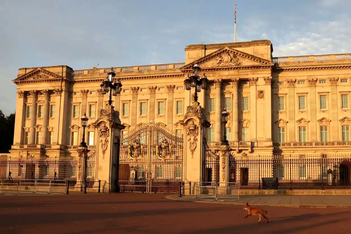 پلیس لندن یک فرد مهاجم به کاخ سلطنتی باکینگهام را دستگیر کرد