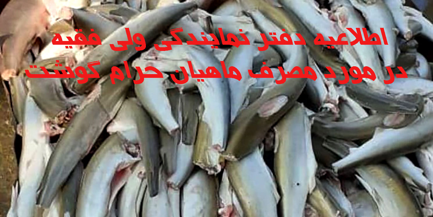 اطلاعیه دفتر نمایندگی ولی فقیه در خصوص خرید و مصرف ماهیان حرام گوشت 