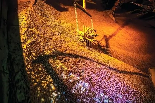 پاییز 1404؛ بهار تولید در فولاد مبارکه