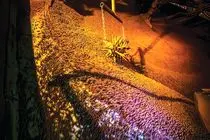 پاییز 1404؛ بهار تولید در فولاد مبارکه