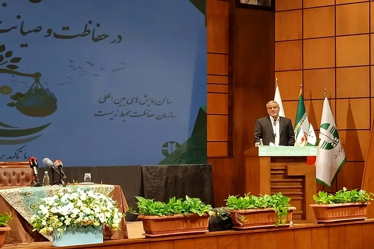 القاصی
