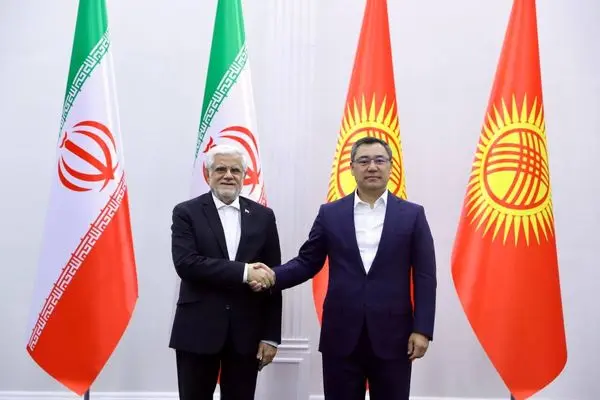 همبستگی کشورهای منطقه به بالا رفتن ضریب امنیت در مقابل تهدیدات خارجی کمک می‌کند