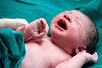 تولد ۸۱ نوزاد در بیمارستان شریعتی بندرعباس
