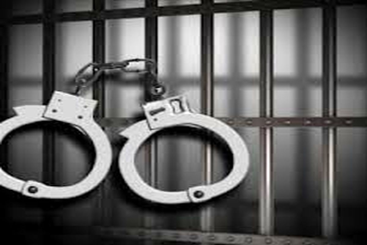 شرور سابقه دار در سنندج بازداشت شد 