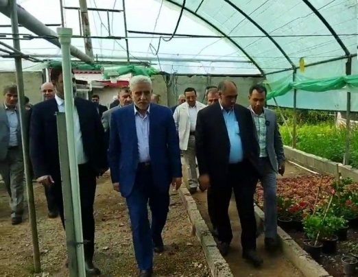 بازدید وزیر جهاد کشاورزی از شهرک گلخانه‌ای کیشستان صومعه سرا