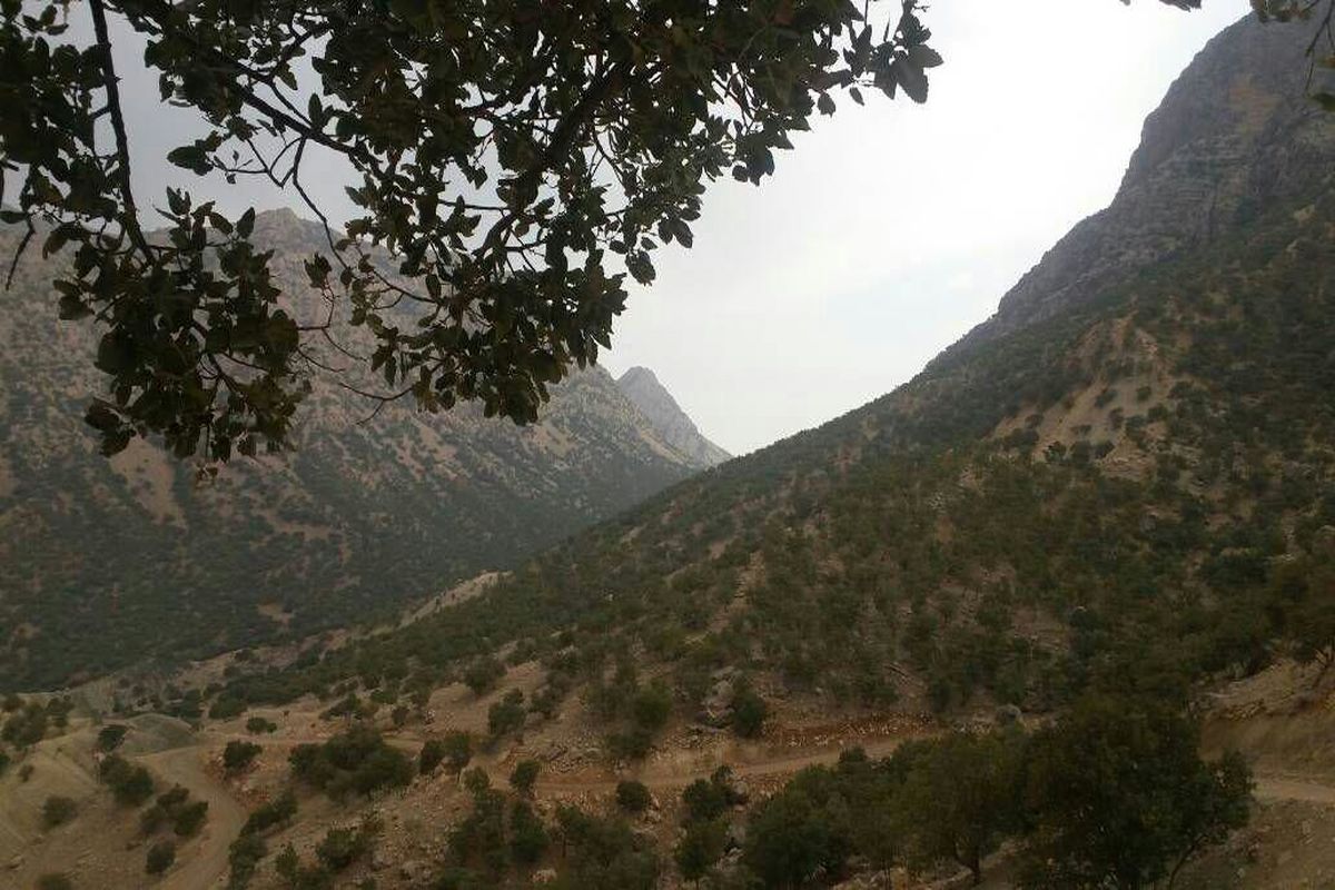 باران تابستانی در شمال شرق خوزستان 