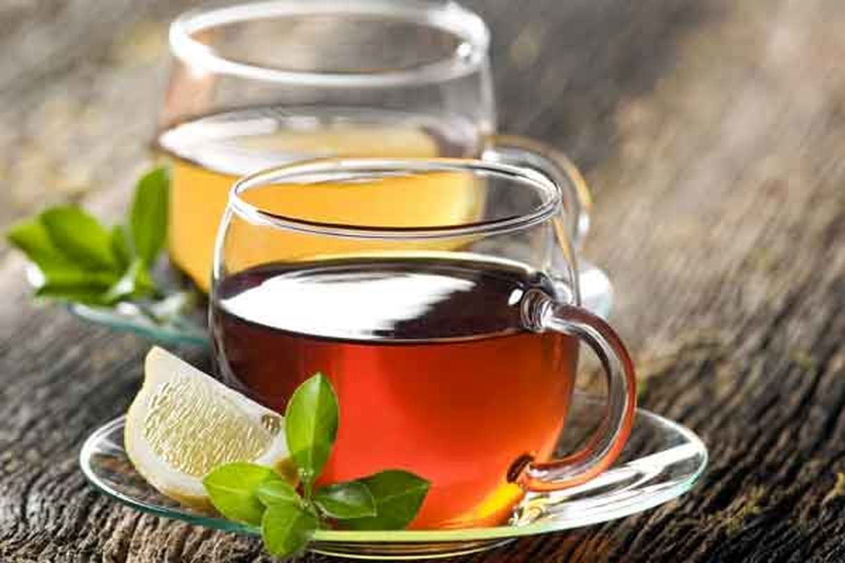 چای سبز بهتر است یا چای سیاه؟ / مقایسه خواص این دو نوشیدنی محبوب