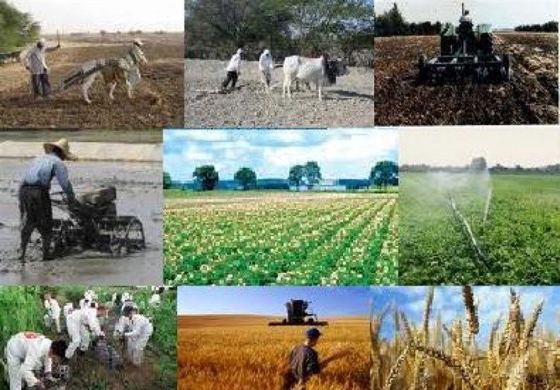۲۰۶ پروژه کشاورزی در دهه فجر افتتاح می‌شود