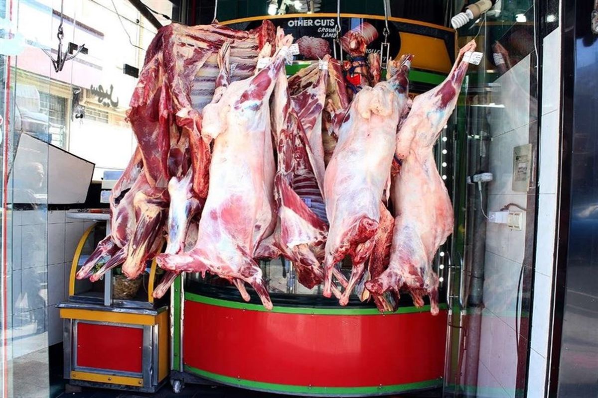 عرضه گوشت گوسفندی روسی در ایران آغاز شد
