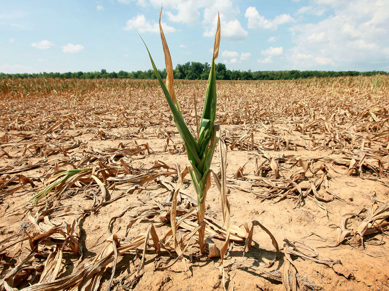 مردم جهان آماده مقابله با اثرات خشکسالی نیستند