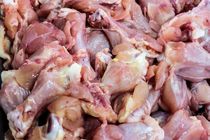 گوشت مرغ ۴.۴ درصد در هفته گذشته افزایش قیمت داشت