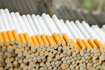 کشف و ضبط ۲۶۹ هزار نخ سیگار قاچاق در اردبیل 