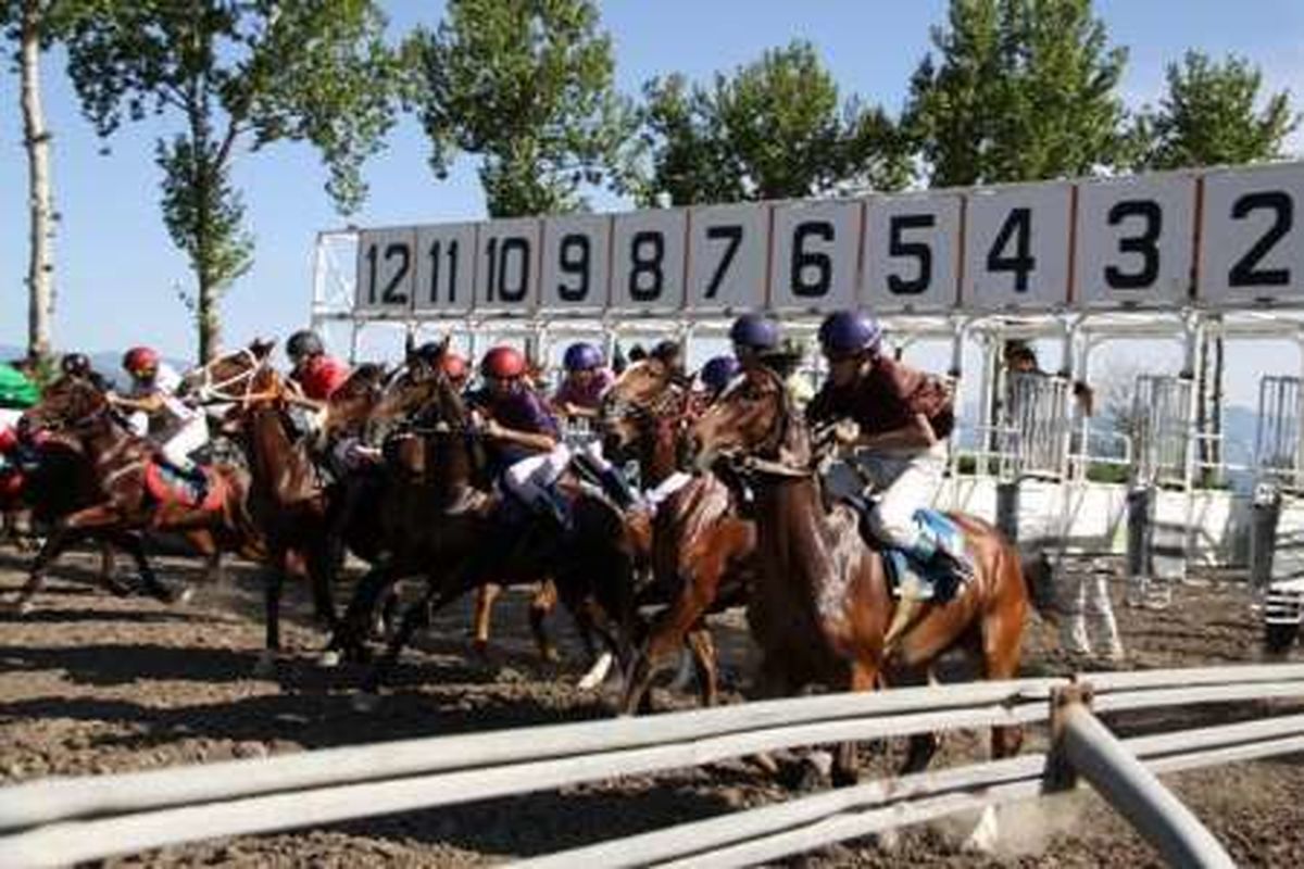 رقابت 65 راس اسب در هفته سوم مسابقات اسبدوانی کورس بهاره گنبدکاووس