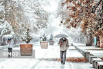 بارش پراکنده باران و برف ارتفاعات نیمه غربی مازندران را فرا گرفت