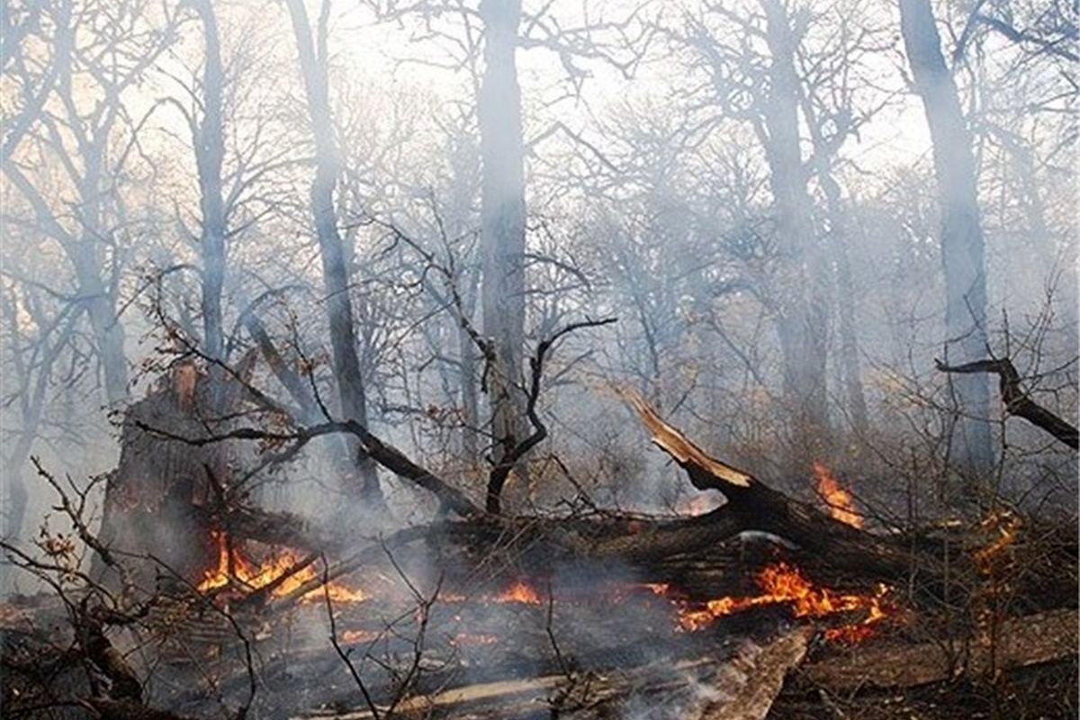 آتش سوزی جنگل‌های بوکان با یک کشته پایان یافت
