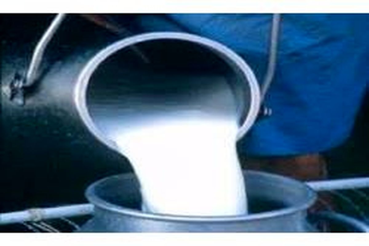 تولید 3100 تنی شیر و گوشت در فریدونکنار
