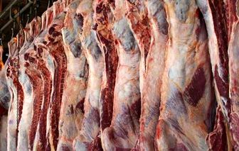 توزیع گوشت گرم گوسفندی کیلویی ۲۴۷ هزار تومان