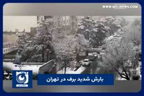 بارش شدید برف در تهران