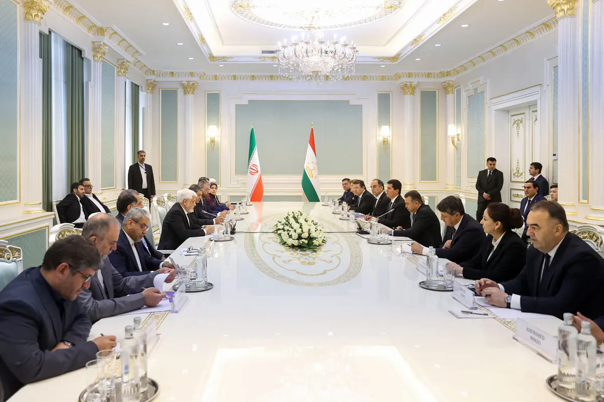 ایران و تاجیکستان پیوندی فراتر از مرزها دارند/پیشنهاد تشکیل کمیته مشترک زبان و فرهنگ پارسی