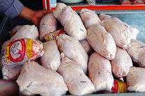 ۳۷ تن گوشت مرغ منجمد در استان توزیع شد